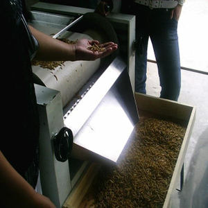 Mealworms microwave drying machine